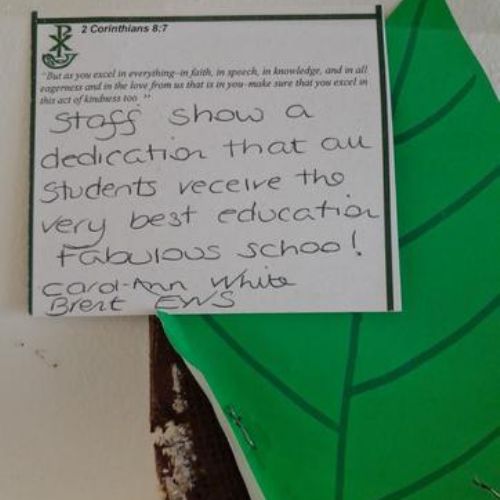 Comments submitted by visitors